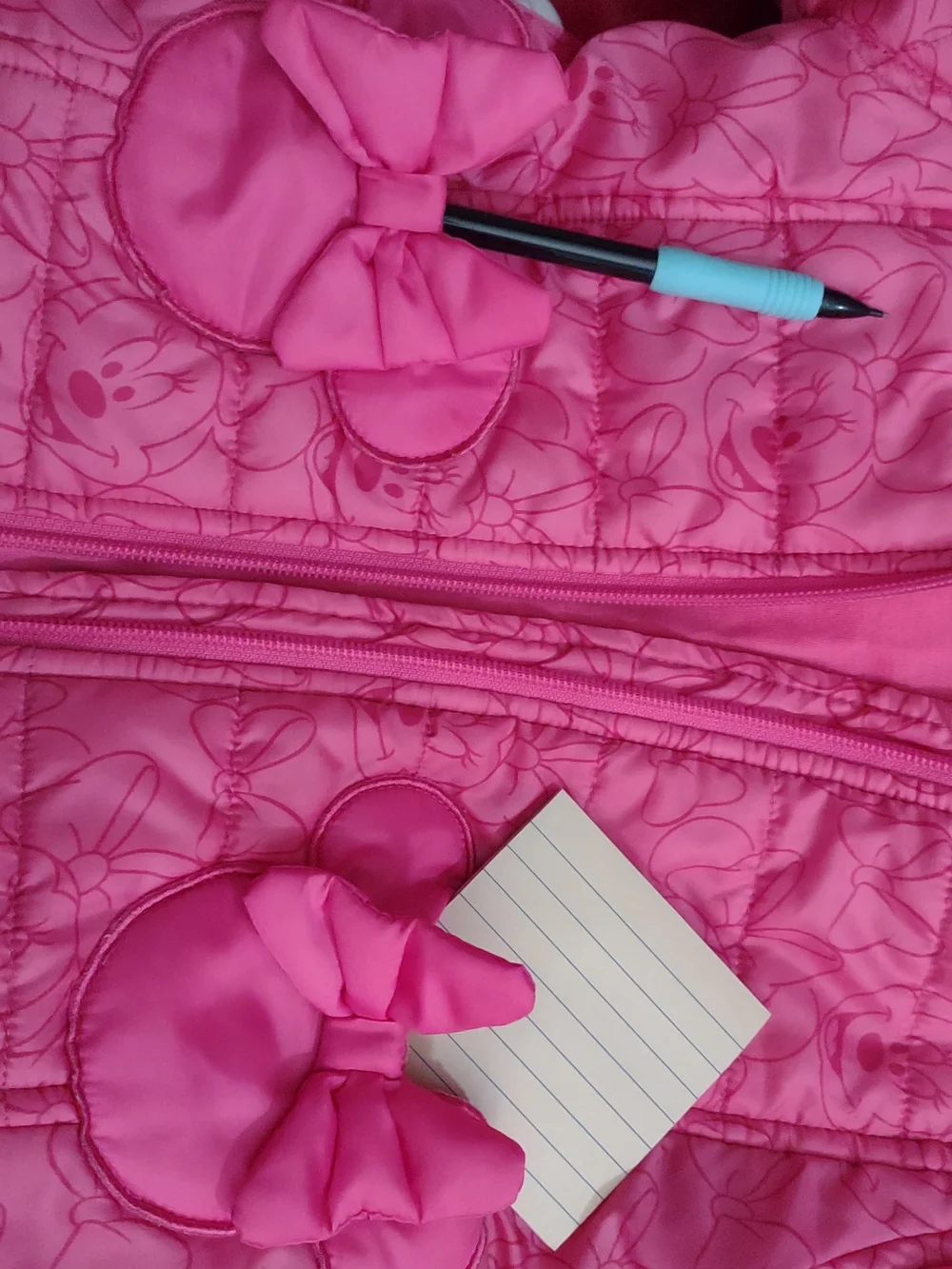 Disney Pink Minnie Hooded Jacket